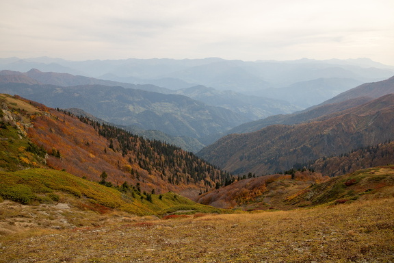 Грузия, Аджария